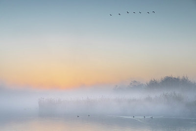 BUITEN BEELD Foto: 348658