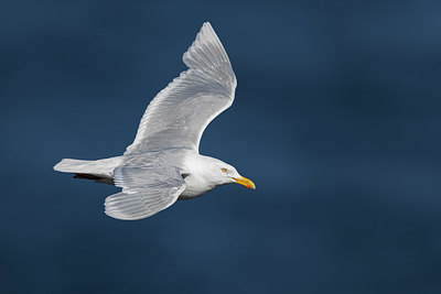 BUITEN BEELD Foto: 348841