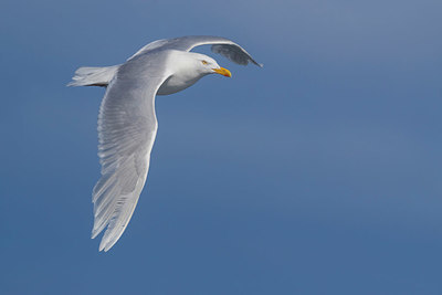BUITEN BEELD Foto: 348851