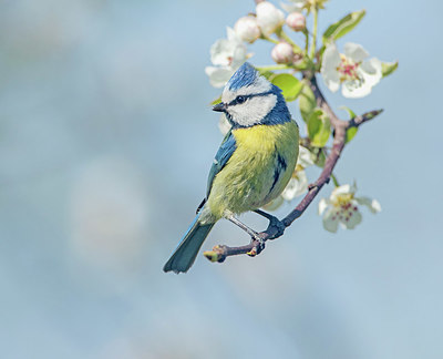 BUITEN BEELD Foto: 348871