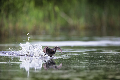 BUITEN BEELD Foto: 348898