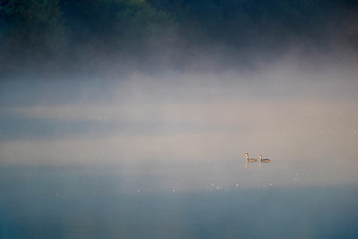 BUITEN BEELD Foto: 348903