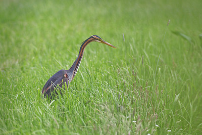 BUITEN BEELD Foto: 348964