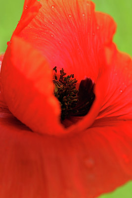 BUITEN BEELD Foto: 34022