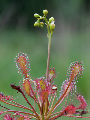 BUITEN BEELD Foto: 34035