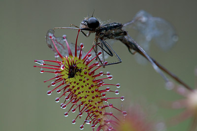 BUITEN BEELD Foto: 34037