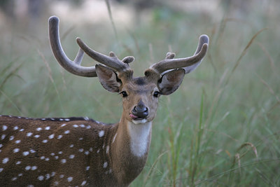 BUITEN BEELD Foto: 34069