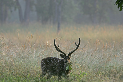 BUITEN BEELD Foto: 34071