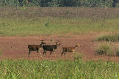 BUITEN BEELD Foto: 34088