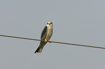 BUITEN BEELD Foto: 34177