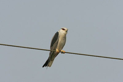 BUITEN BEELD Foto: 34178