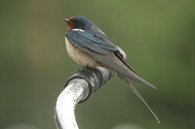 BUITEN BEELD Foto: 34181