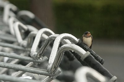 BUITEN BEELD Foto: 34183