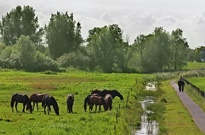 BUITEN BEELD Foto: 34220