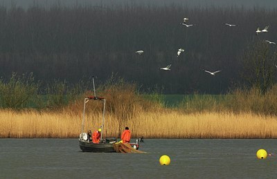 BUITEN BEELD Foto: 34246