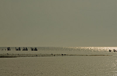 BUITEN BEELD Foto: 34260