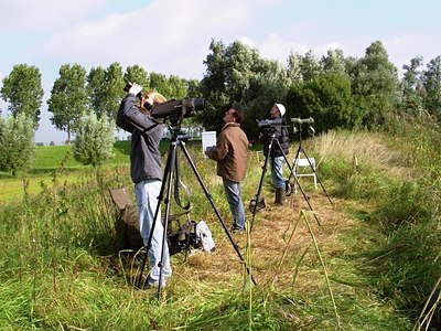 BUITEN BEELD Foto: 34261
