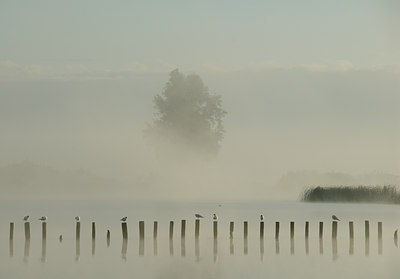 BUITEN BEELD Foto: 34262