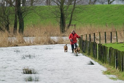 BUITEN BEELD Foto: 34263