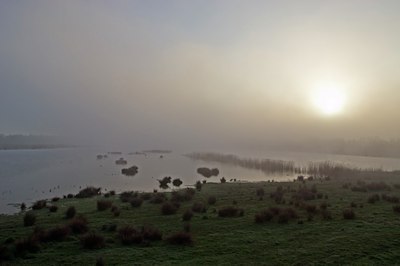 BUITEN BEELD Foto: 34284