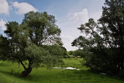 BUITEN BEELD Foto: 34292