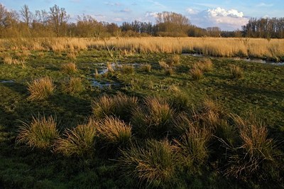 BUITEN BEELD Foto: 34303