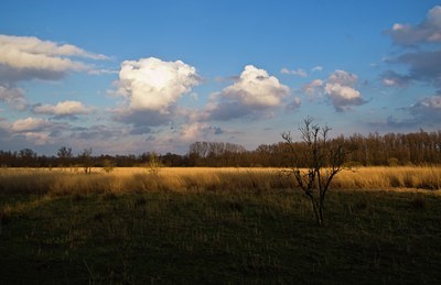 BUITEN BEELD Foto: 34304