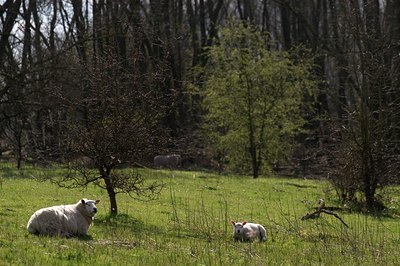 BUITEN BEELD Foto: 34318