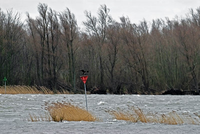 BUITEN BEELD Foto: 34321
