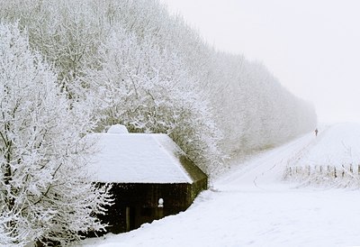 BUITEN BEELD Foto: 34329