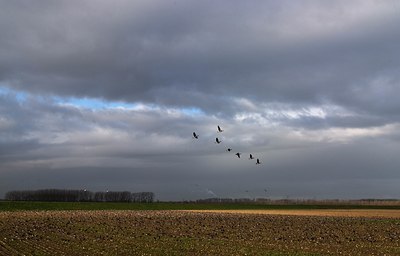 BUITEN BEELD Foto: 34330