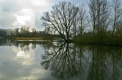 BUITEN BEELD Foto: 34331