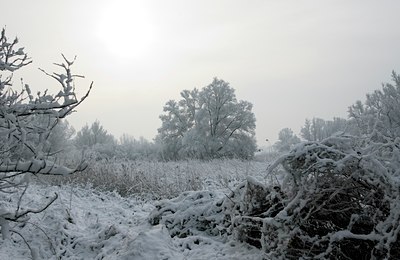 BUITEN BEELD Foto: 34338