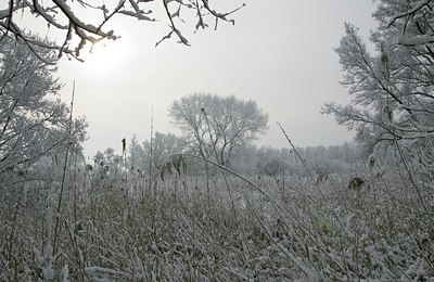BUITEN BEELD Foto: 34339