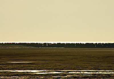BUITEN BEELD Foto: 34347