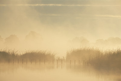 BUITEN BEELD Foto: 34357