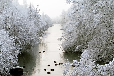BUITEN BEELD Foto: 34358