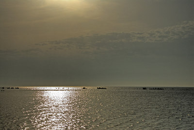 BUITEN BEELD Foto: 34361