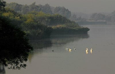 BUITEN BEELD Foto: 34370