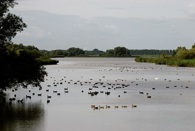BUITEN BEELD Foto: 34379