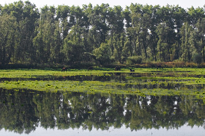 BUITEN BEELD Foto: 34390