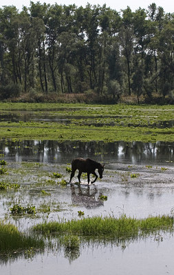 BUITEN BEELD Foto: 34392