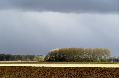 BUITEN BEELD Foto: 34394