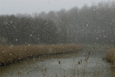 BUITEN BEELD Foto: 34404