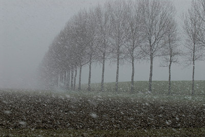 BUITEN BEELD Foto: 34406