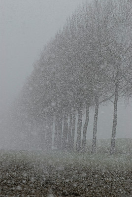 BUITEN BEELD Foto: 34407