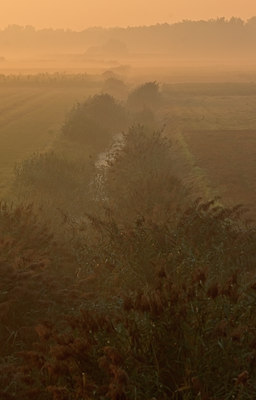 BUITEN BEELD Foto: 34415