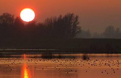 BUITEN BEELD Foto: 34421