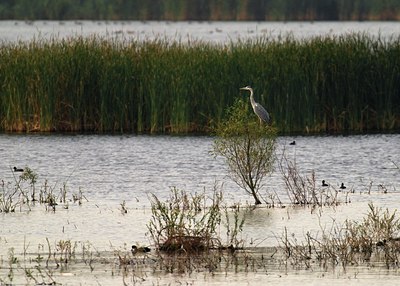 BUITEN BEELD Foto: 34422