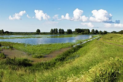 BUITEN BEELD Foto: 34423